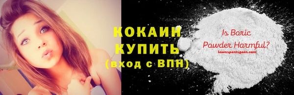 шишки Осташков