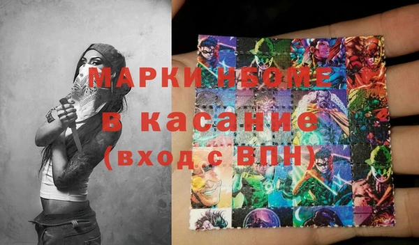 шишки Осташков