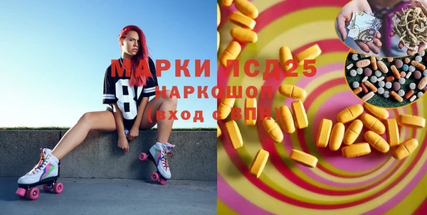 шишки Осташков