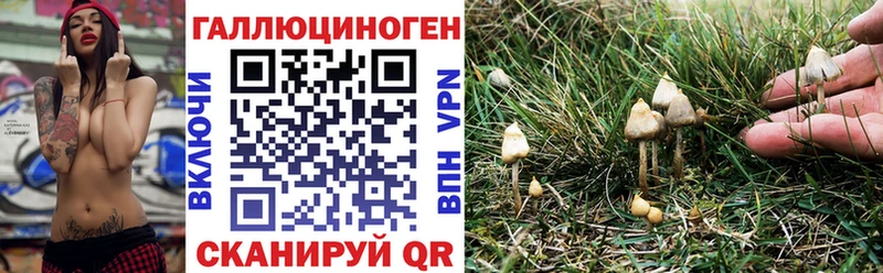 Псилоцибиновые грибы MAGIC MUSHROOMS darknet телеграм Ялуторовск